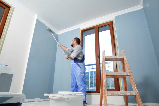 Best Attic Mold Removal  in Radcliff, KY