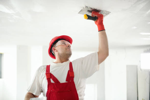 Best Dehumidification Services  in Radcliff, KY