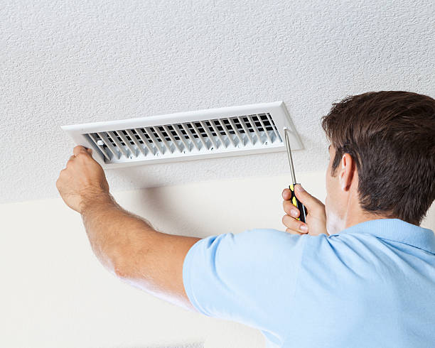 Best Mold-Related Health Consultation  in Radcliff, KY