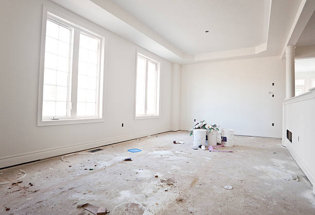 Best Basement Mold Removal  in Radcliff, KY