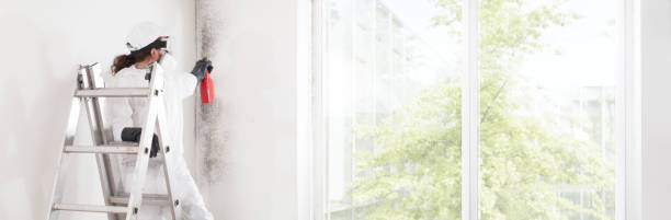 Best Air Quality Testing for Mold Spores  in Radcliff, KY