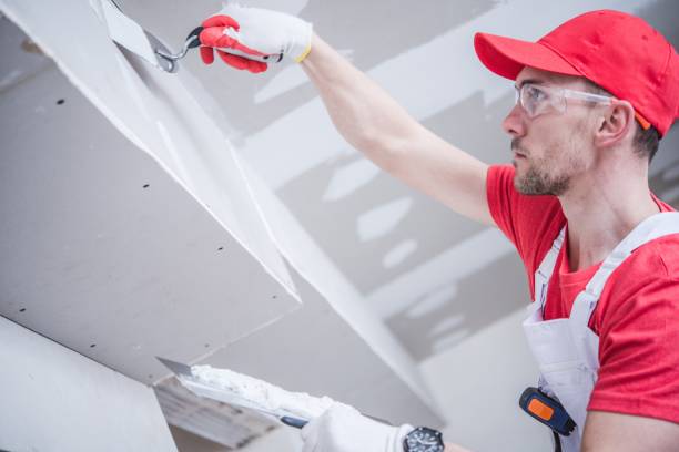 Best Post-Construction Mold Inspection  in Radcliff, KY